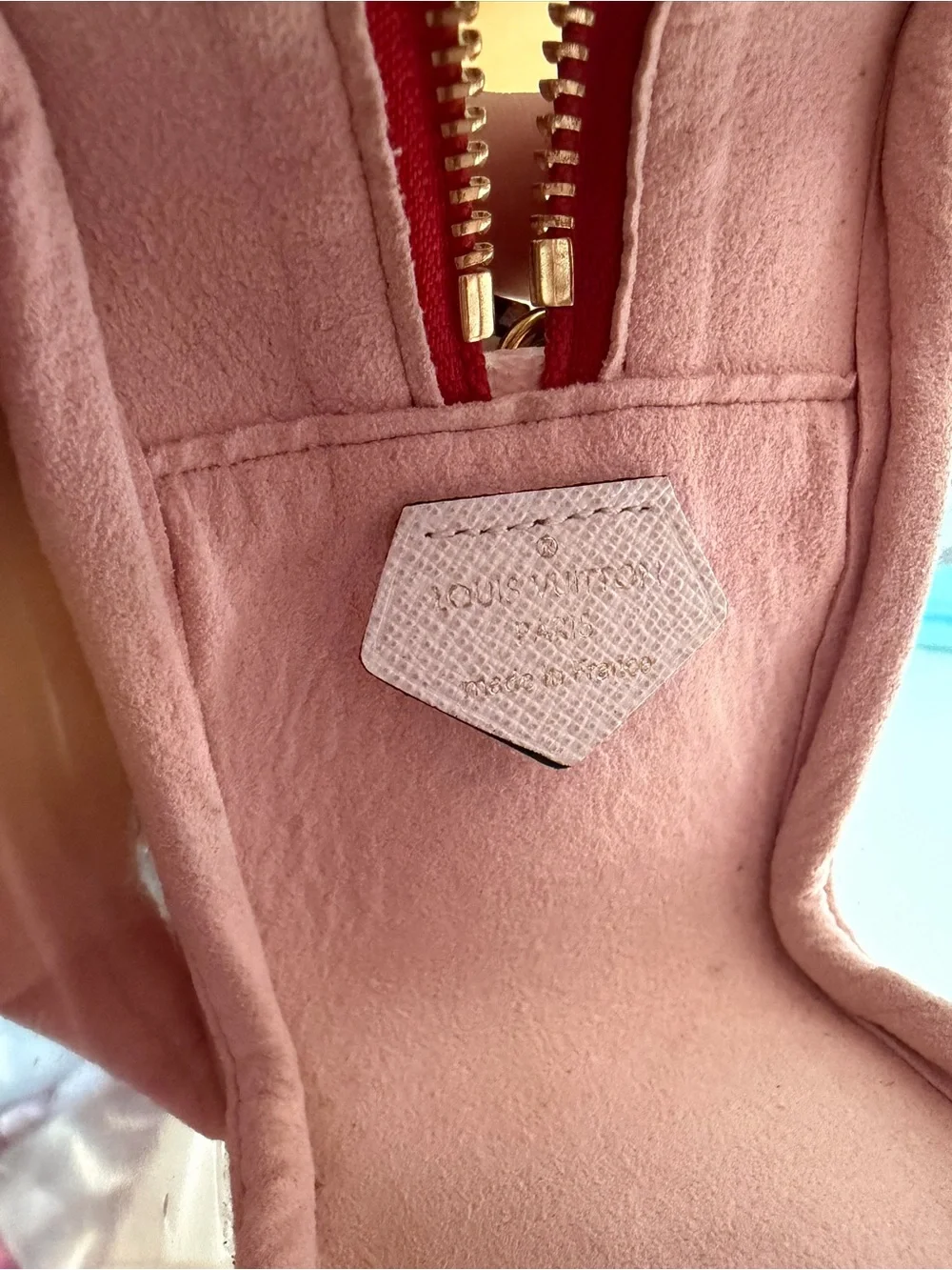 Louis Vuitton Pink and Red Clear bag